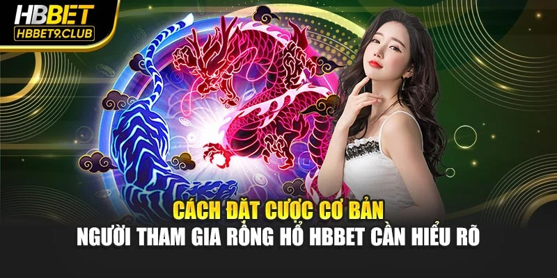 Cách đặt cược cơ bản người tham gia Rồng Hổ Hbbet cần hiểu rõ