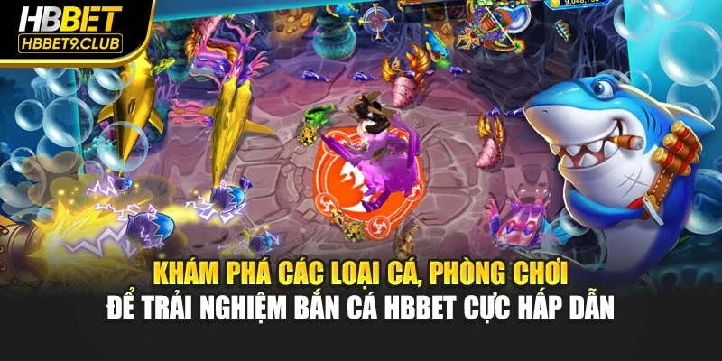 Khám phá các loại cá, phòng chơi để trải nghiệm bắn cá HBBET cực hấp dẫn