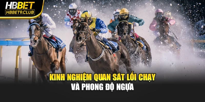 Kinh nghiệm quan sát lối chạy và phong độ ngựa