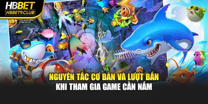 Nguyên tắc cơ bản và lượt bắn khi tham gia game cần nắm